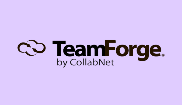 Team Forge (1)